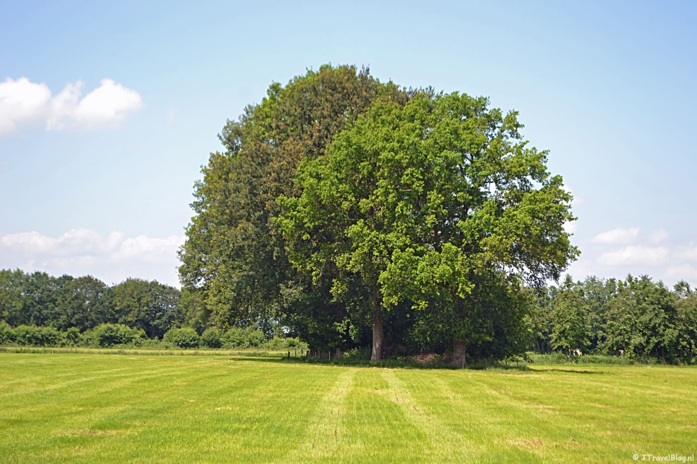 Bij de Schremmersteeg