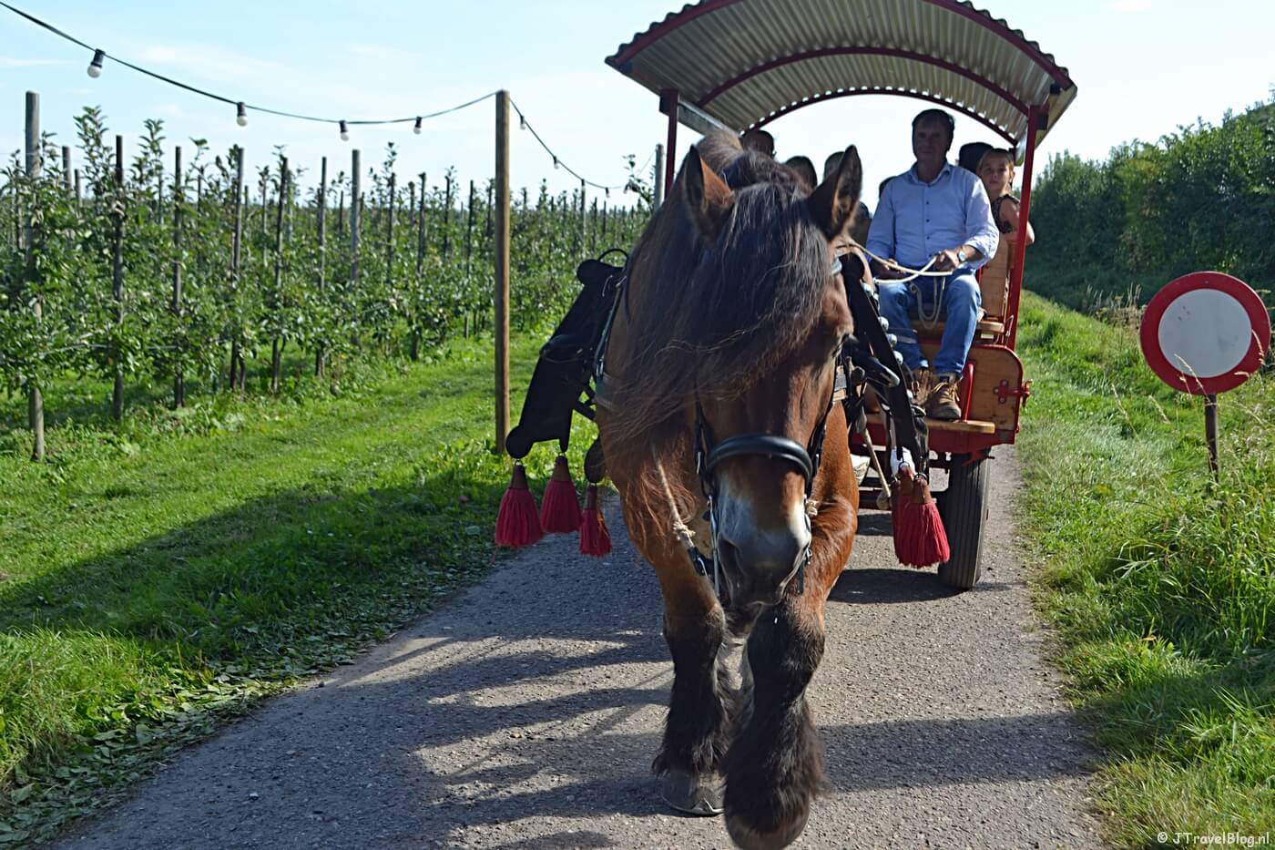Een huifkartocht op Landgoed De Olmenhorst