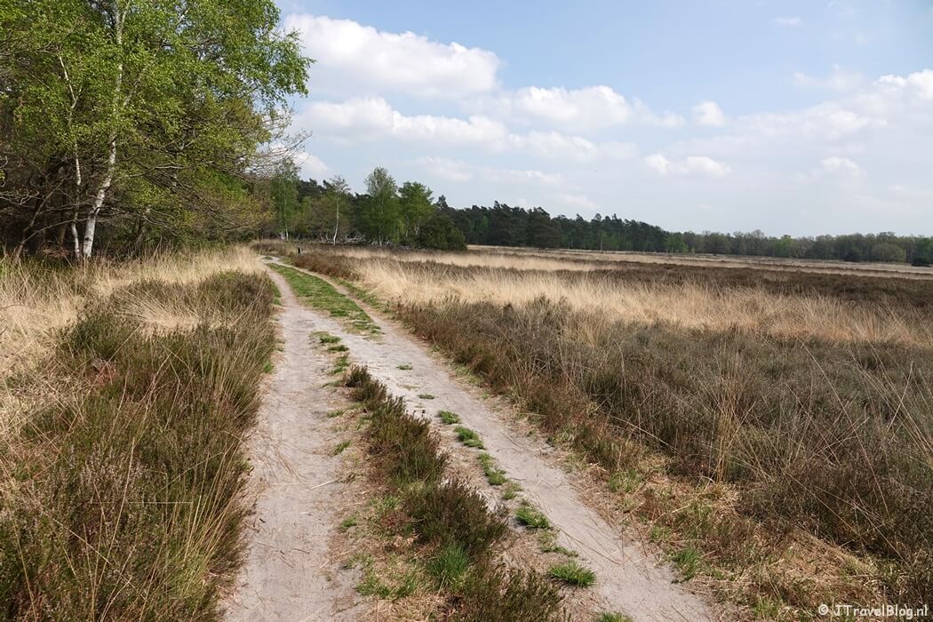 Henk Mouwenveld tijdens de 14e etappe van het Westerborkpad