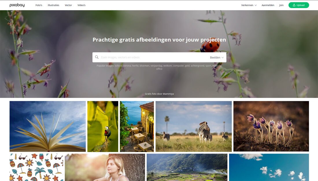 Pixabay: een website met gratis afbeeldingen