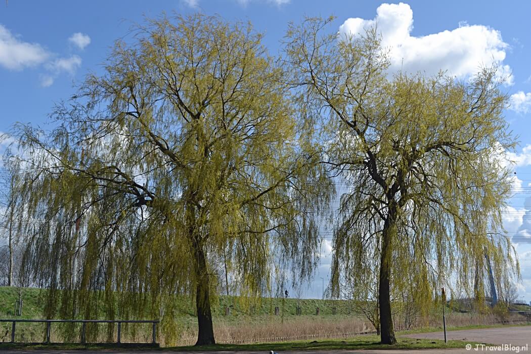 Recreatiegebied Groene Weelde tijdens de Trage Tocht Vijfhuizen