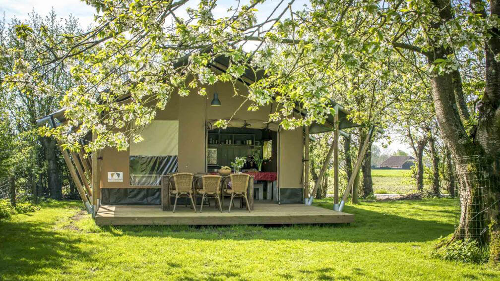 Safaritent in Graauw/Zeeland via Natuurhuisje.nl