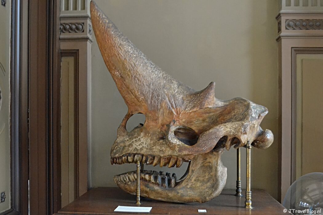 De Fossielenzaal van het Teylers Museum in Haarlem