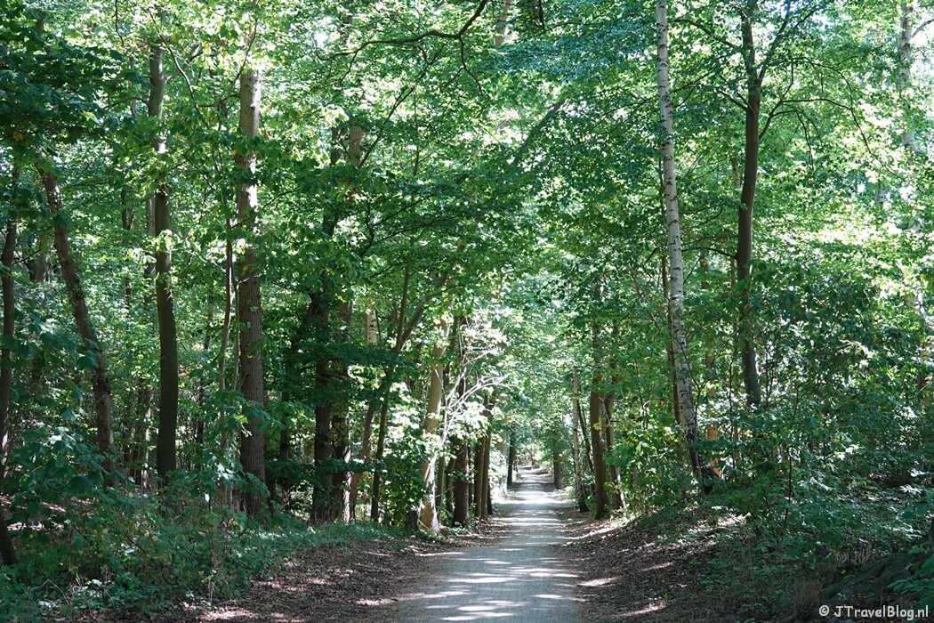 Spanderswoud tijdens de Trage Tocht Bussum