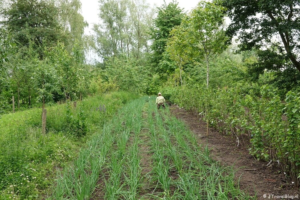 Stichting Weerwoud op de Floriade Expo 2022 in Almere