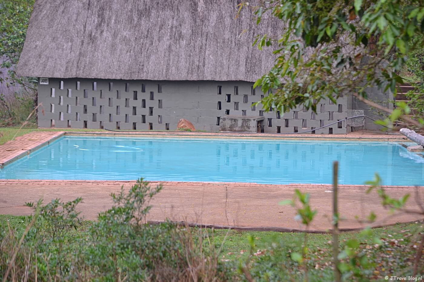 Het zwembad van Mlilwane Wildlife Sanctuary in Swaziland