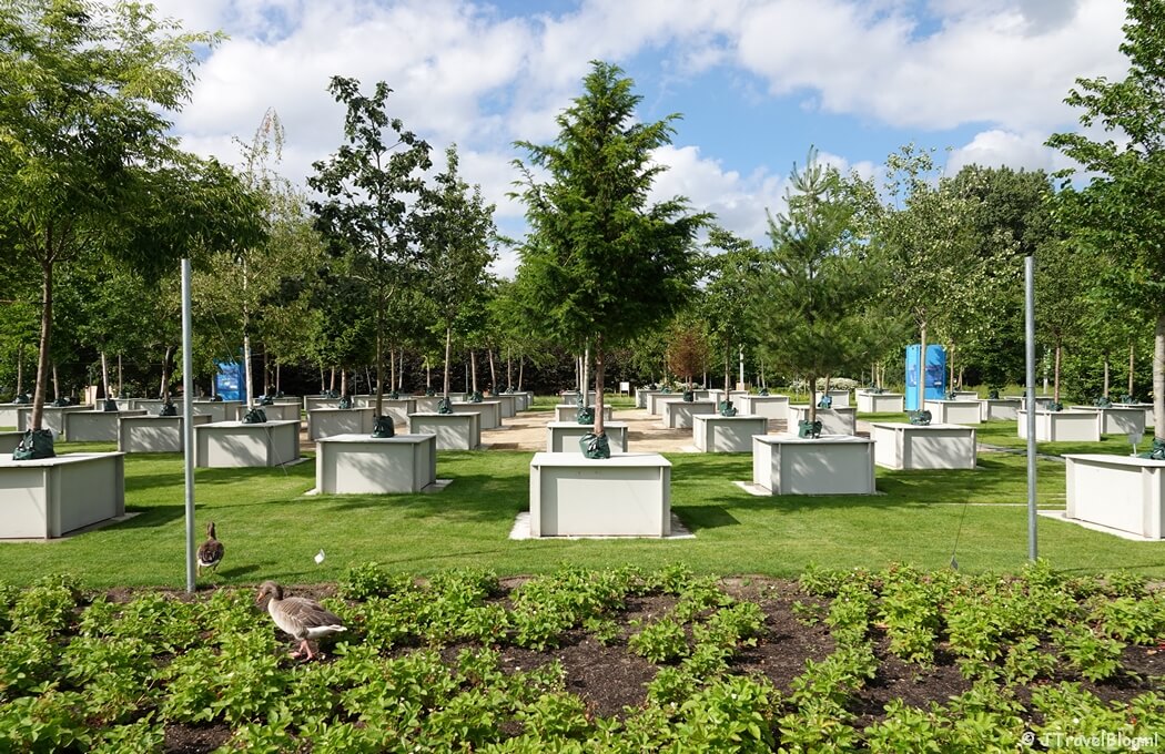 TU Delft Urban Forestry op de Floriade Expo 2022 in Almere