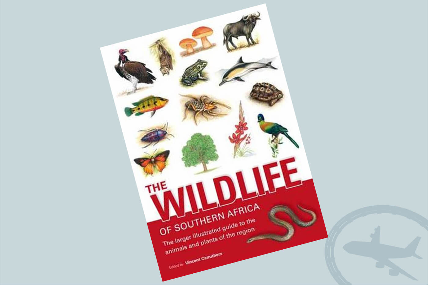 The wildlife of Southern Africa