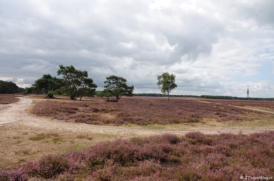 Bussumerheide tijdens de Trage Tocht Bussum