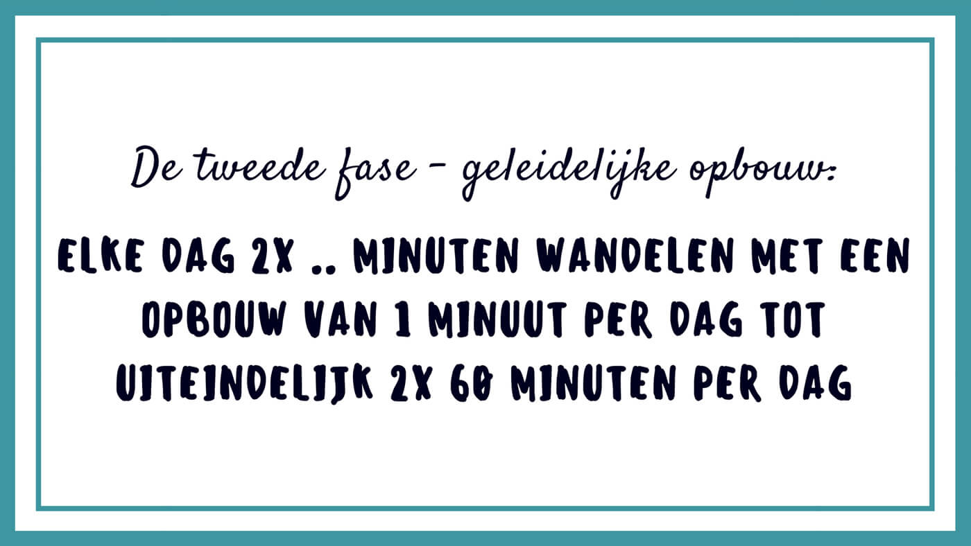 De tweede fase van de cognitieve gedragstheraptie