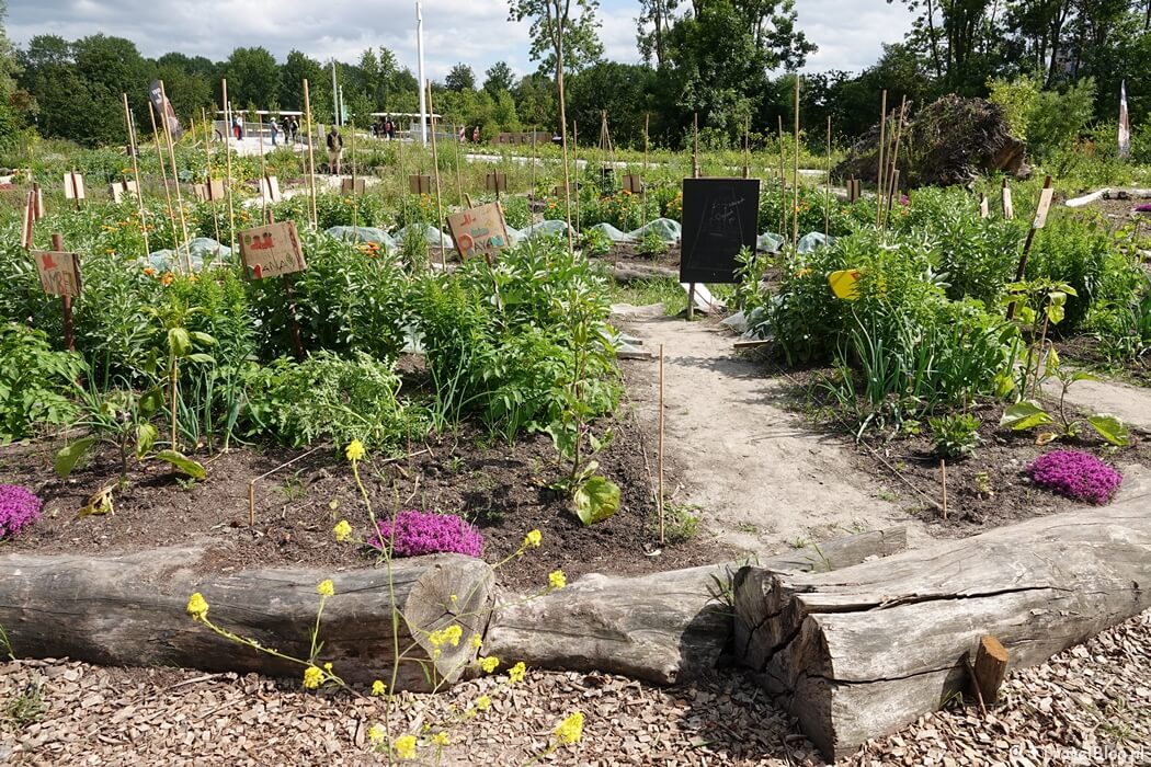 Utopia Schooltuin op de Floriade Expo 2022 in Almere