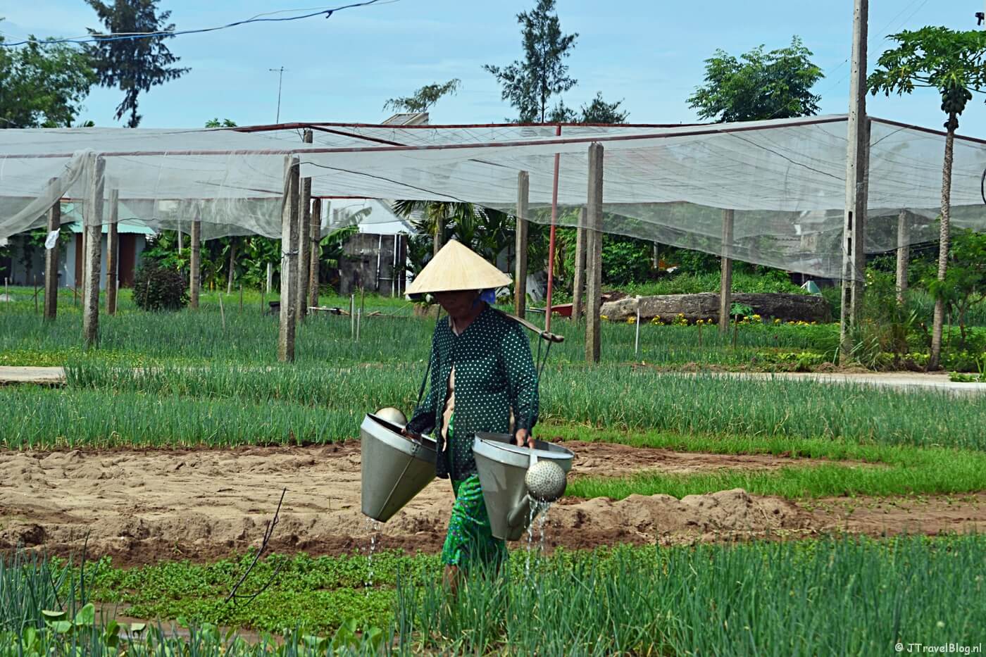 Op het platteland rond Hoi An