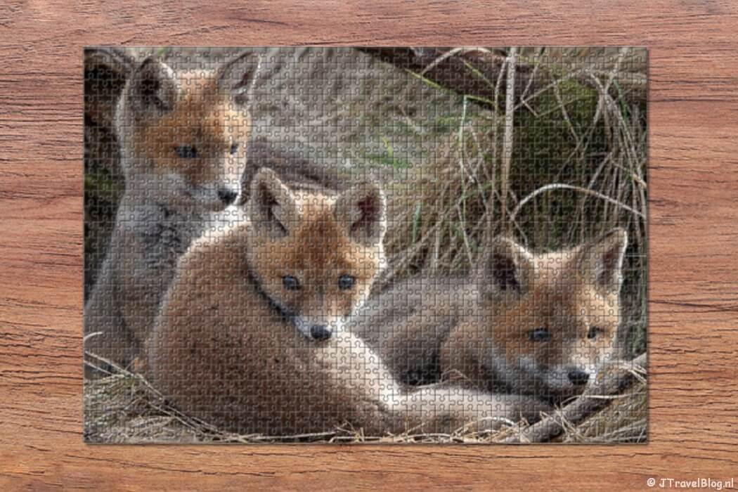 Review : Fotopuzzel met doos van Fotocadeau.nl