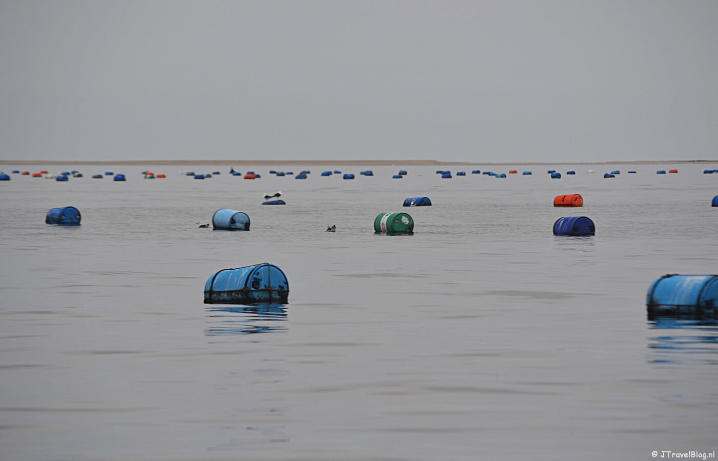 Oestertonnen tijdens de boottocht bij Walvis Bay