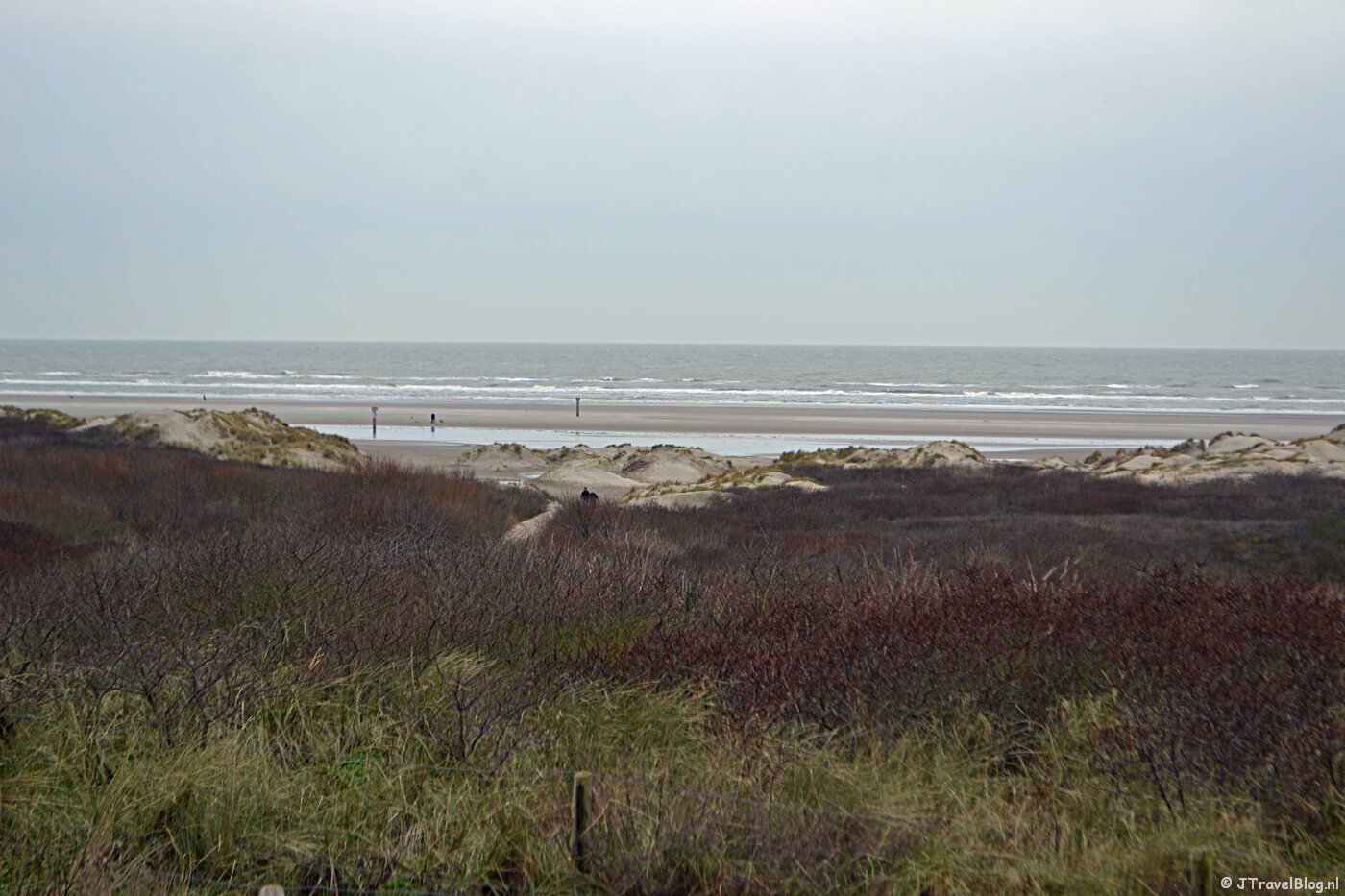 Wandelen in de duinen van IJmuiden: uitzicht vanaf IJmuiderslag