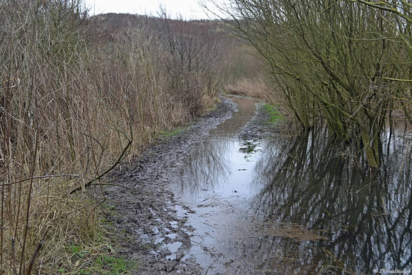 Wandelen in de duinen van IJmuiden: hier kan ik niet langs