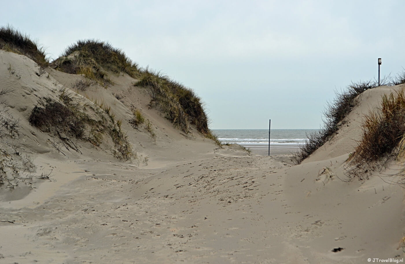 Wandelen in de duinen van IJmuiden: een doorkijkje naar zee