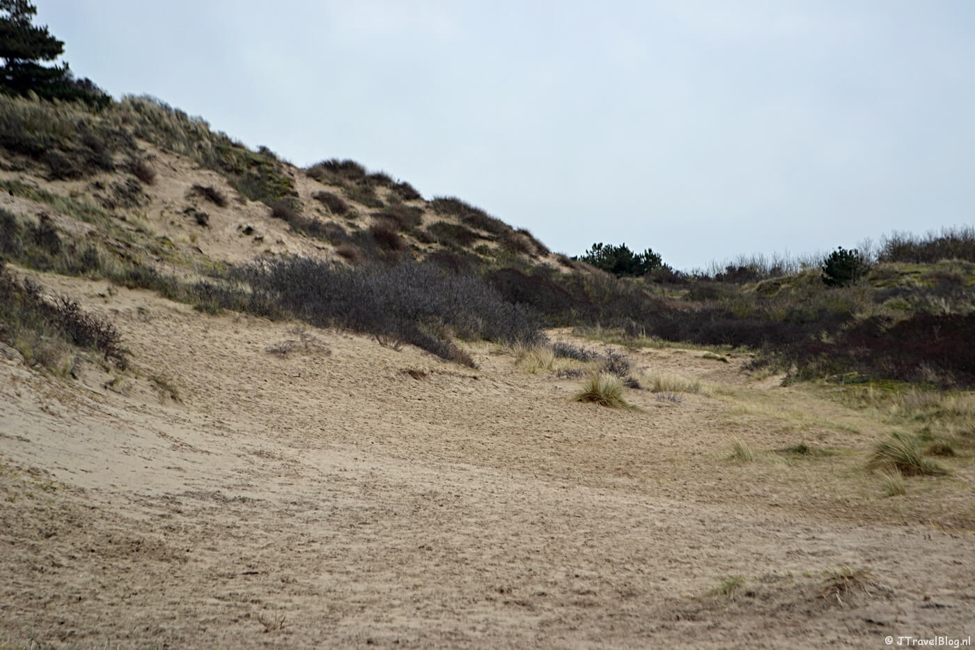 Wandelen in de duinen van IJmuiden: Waar is het pad, want het pad dat ik hier zie loopt op niets uit