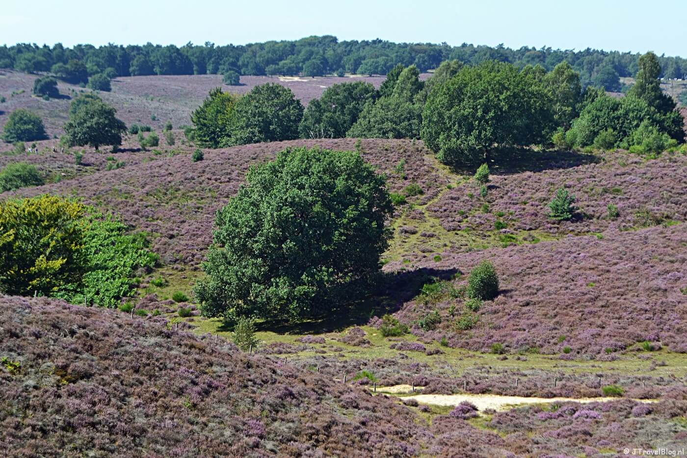 Wandelen rond Rheden