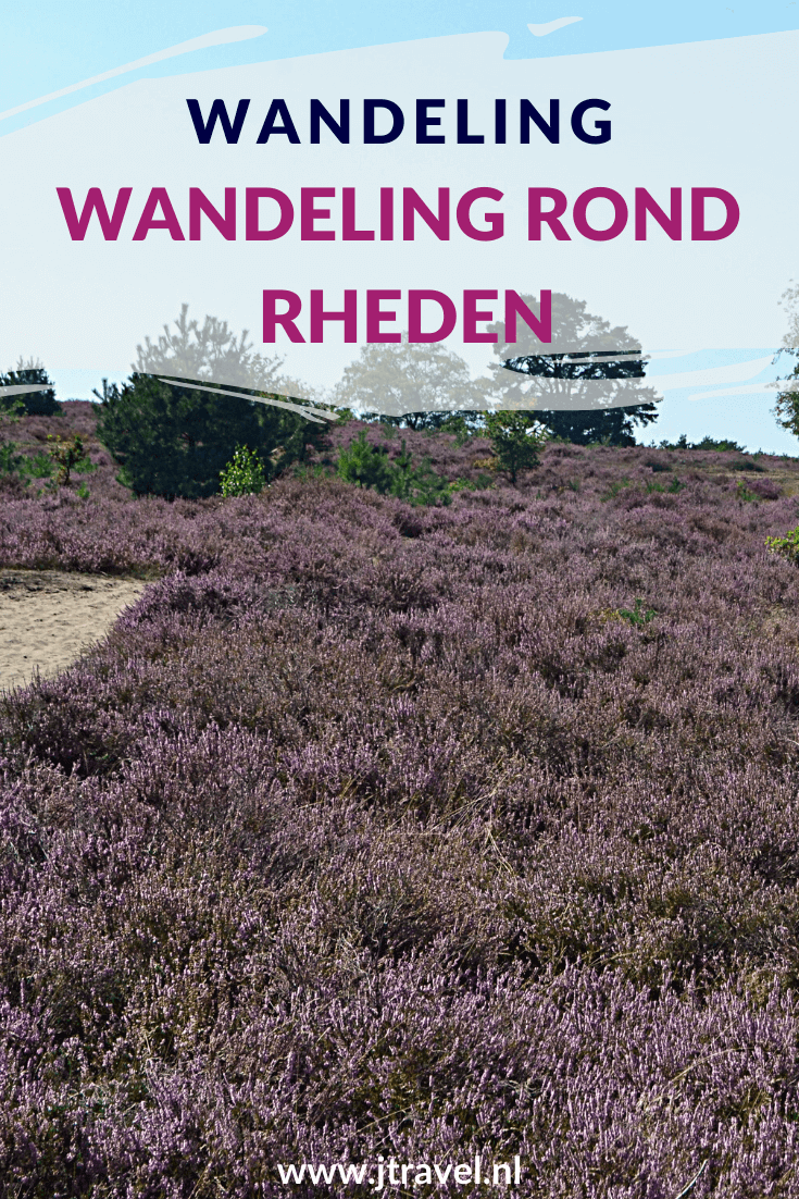Ik maakte een mooie wandeling in Nationaal Park Veluwezoom, de Trage Tocht rond Rheden, over de heide en door de bossen. Mijn belevenissen lees je in dit artikel. Lees en loop je mee? #rheden #nationaalparkveluwezoom #wandelen #hiken #jtravel #jtravelblog #tragetocht