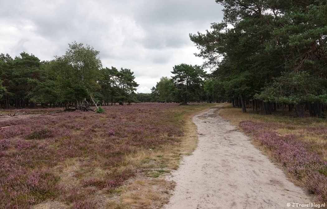 Bussumerheide tijdens de Trage Tocht Bussum