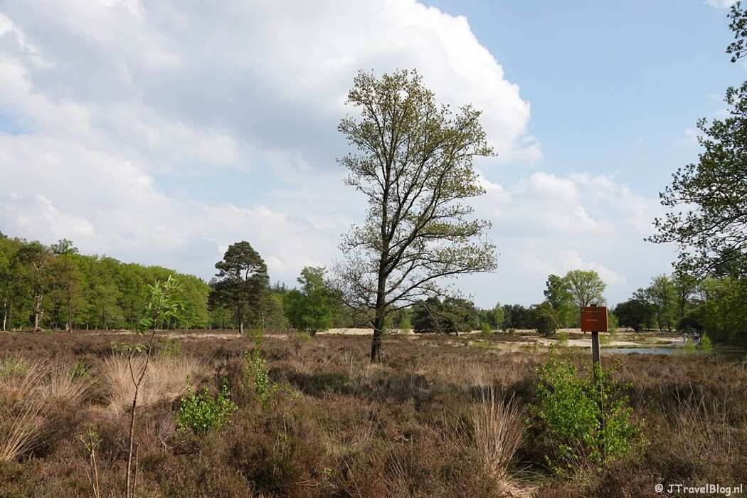 Waschkolk tijdens de 14e etappe van het Westerborkpad