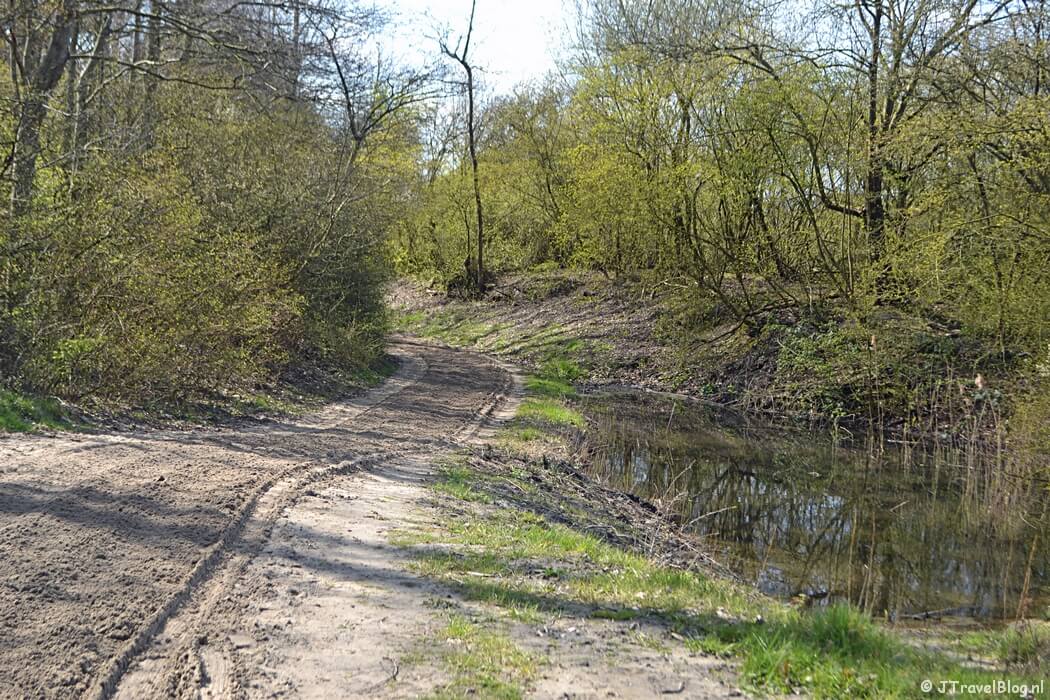 Een zandpad in het Haarlemmermeerse Bos in Hoofddorp tijdens de Trage Tocht Vijfhuizen