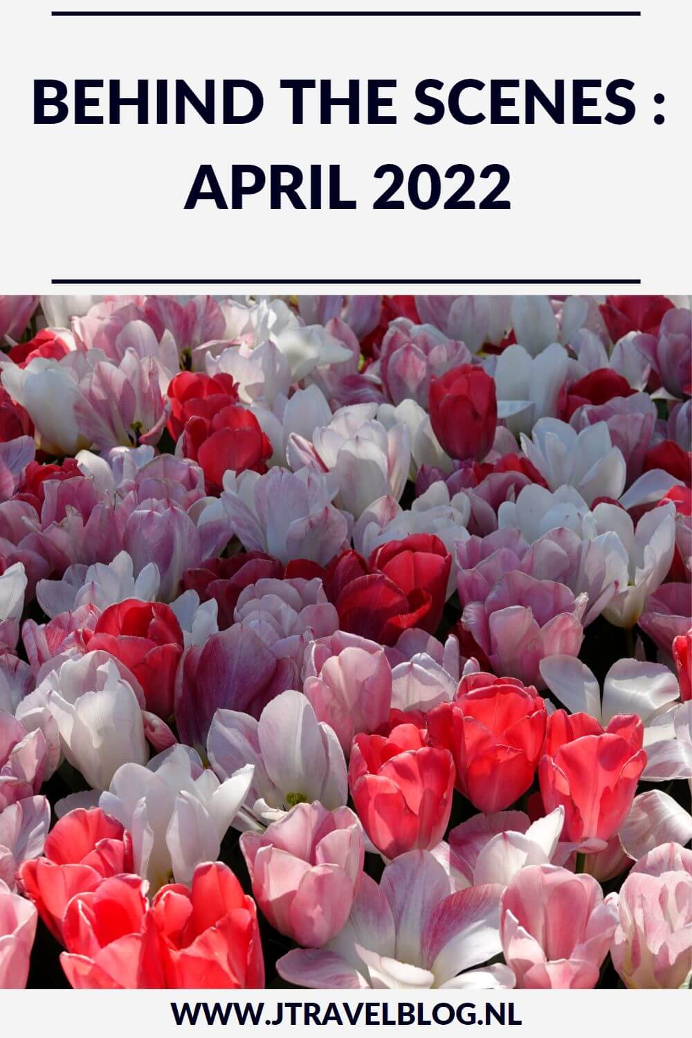In april 2022 liep ik een etappe van het Westerborkpad, maakte ik een wandeling in de Amsterdamse Waterleidingduinen en zag 3 vossenwelpen, bezocht ik Huis Barnaart in Haarlem en de Keukenhof in Lisse, maakte ik een fietstocht in de Bollenstreek en liep de Olmenhorstroute in Lisserbroek. Meer hier over lees je in dit maandoverzicht. #maandoverzicht #april2022 #westerborkpad #huisbarnaart #bollenstreek #amsterdamsewaterleidingduinen #keukenhof #olmenhorstroute #jtravel #jtravelblog