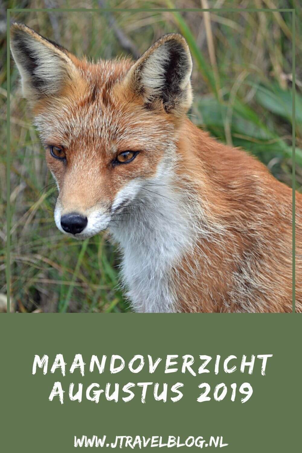 De maand augustus 2019 van JTravelBlog met wandelingen in de Amsterdamse Waterleidingduinen en in Nationaal Park Veluwezoom rond Rheden en een bezoek aan het LAM (Lisser Art Museum) en de tuinen rondom Kasteel Keukenhof in Lisse. Meer hier over lees je in dit maandoverzicht. #maandoverzicht #lisse #lamlisse #kasteelkeukenhof #wandelen #hiken #jtravel #jtravelblog #awd #nationaalparkveluwezoom