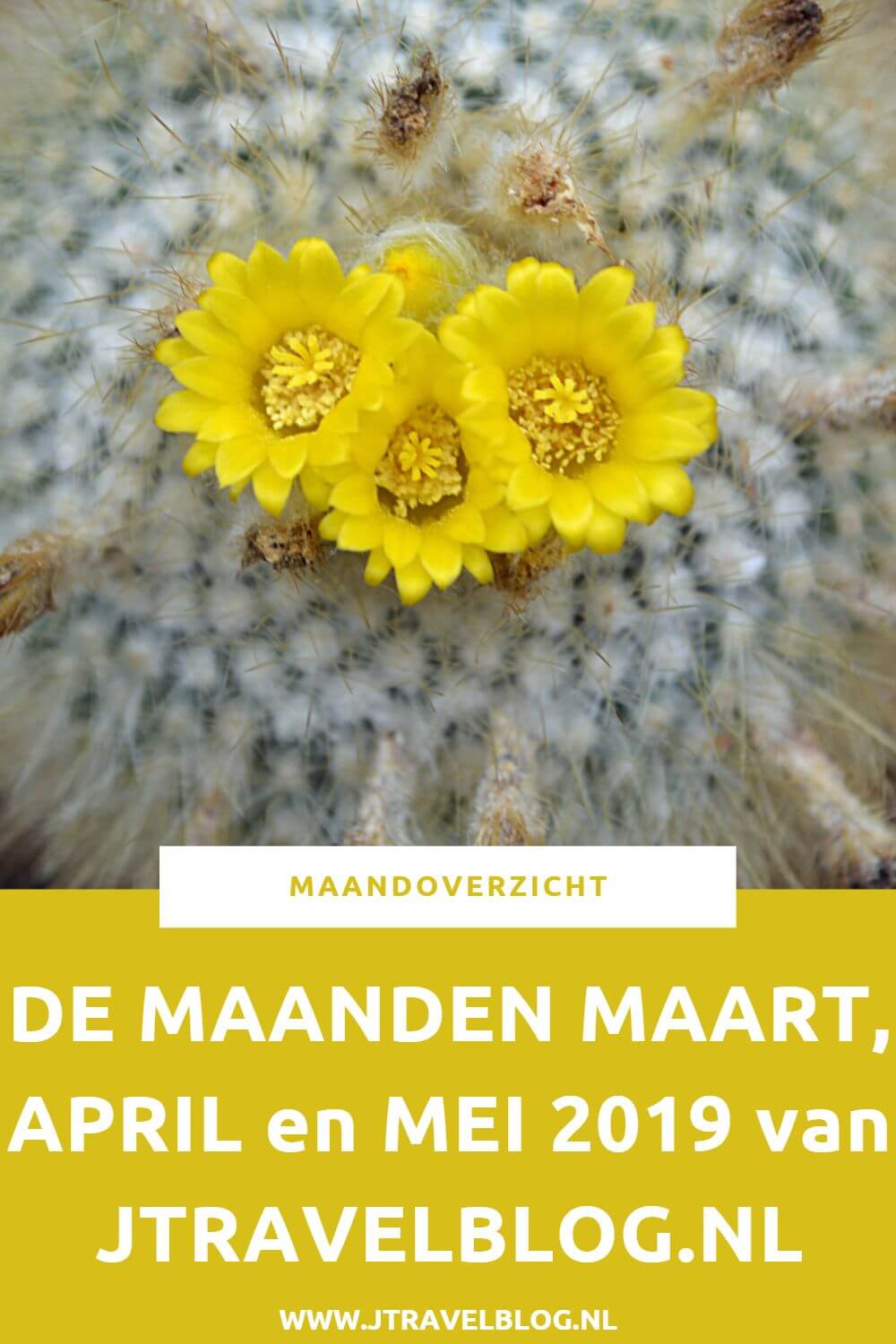 De maanden maart, april en mei waren moeilijke maanden. Ik maakte verschillende uitstapjes en verbleef in Groningen. Meer lees in dit overzicht die over 3 maanden gaat. #groningen #haarlem #amsterdam #instameet #jtravel #jtravelblog