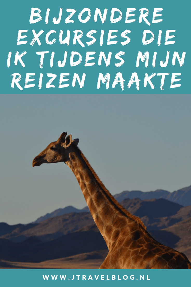 Tijdens mijn reizen maakte ik een paar bijzondere excursies, zoals gamedrives in Afrika, de Sossusvlei in Namibiรซ, jeepsafariโs, parasailing, een sundowner, de Cu Chi tunnels en Cao Dai tempel in Vietnam, een huifkartocht op Texel. In deze blog vertel ik je hier alles over. Lees je mee? #excursies #namibie #texel #zuidafrika #nederland #turkije #vietnam #jtravel #jtravelblog