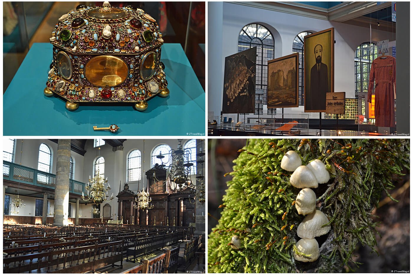 Mijn uitstapjes in oktober 2019: Hermitage, het Joods Historisch Museum en de Portugese Synagoge (allen in Amsterdam) en de Amsterdamse Waterleidingduinen