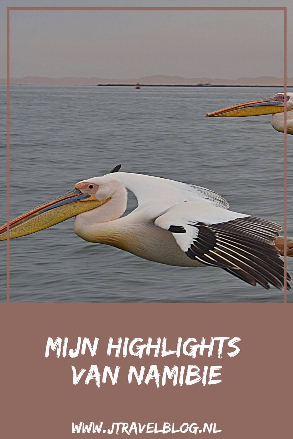 Ga je op reis naar Afrika, denk dan ook eens aan Namibië als bestemming. Een fantastisch land. Ik heb mijn highlights van Namibië voor je op een rijtje gezet. #namibia #namibie #afrika #africa #olifant #elephant #etoshanationalpark #jtravel #jtravelblog #wildlife