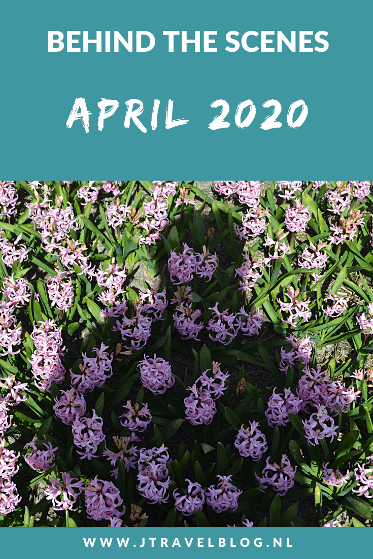 In de bizarre maand april 2020 fietste ik twee keer naar de Bollenstreek en wandelde ik in de Amsterdamse Waterleidingduinen. Meer hier over lees je in dit maandoverzicht. #maandoverzicht #amsterdamsewaterleidingduinen #april2020 #bollenstreek #tulpen #corona #coronacrisis #coronavirus #jtravel #jtravelblog