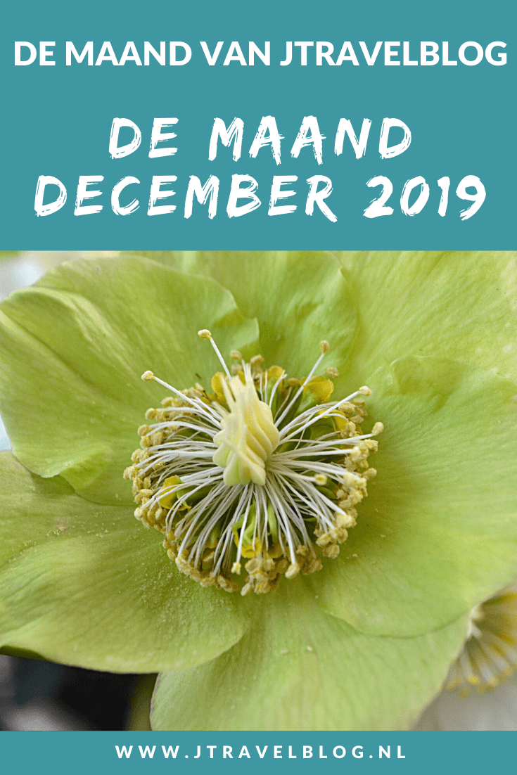 De maand december 2019 van JTravelBlog met middagje fietsen in de Haarlemmermeer en anderhalve week Groningen ivm de kerstdagen. Meer lees je in dit maandoverzicht. #maandoverzicht #fietsen #haarlemmermeer #jtravel #jtravelblog