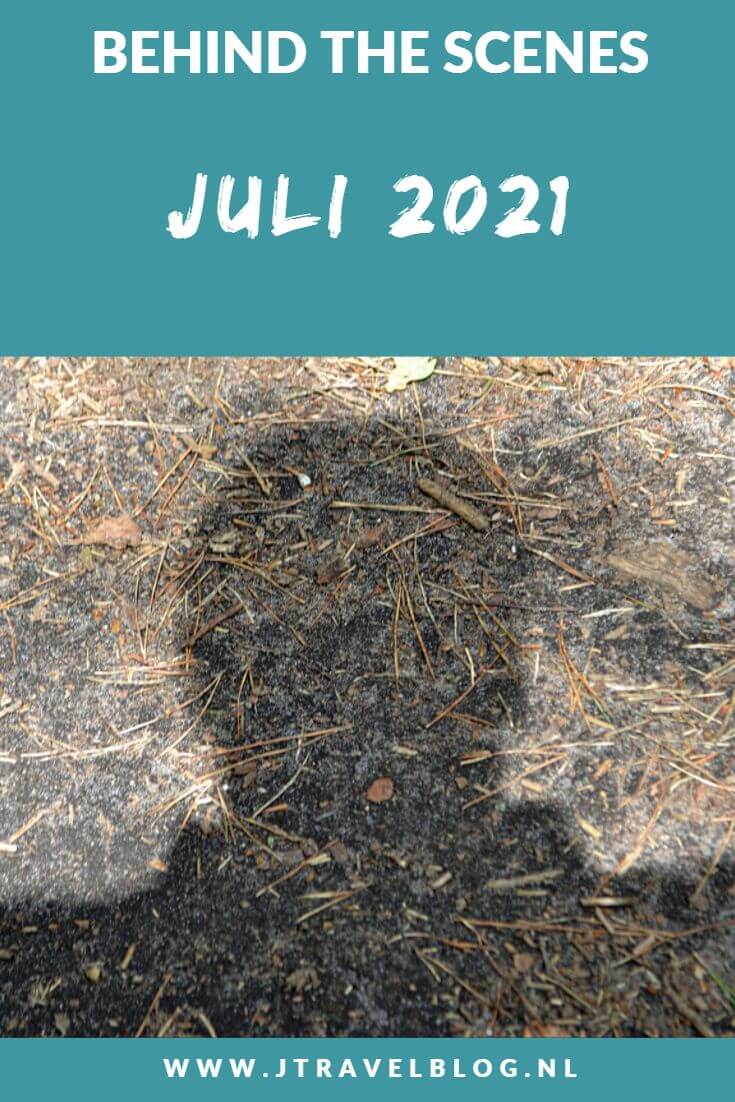 In juli 2021 liep ik de Vrijheidswandeling en korte Beeldenwandeling in Haarlem, liep ik een etappe van het Westerborkpad van Station Hilversum Sportpark naar Station Baarn, maakte ik een mooie wandeling in de Amsterdamse Waterleidingduinen en fietste ik de Mandpadroute. Meer hier over lees je in dit maandoverzicht. #maandoverzicht #juli2021 #westerborkpad #amsterdamsewaterleidingduinen #wandelen #fietsen #haarlem #vrijheidswandeling #beeldenwandeling #mandpadroute #jtravel #jtravelblog