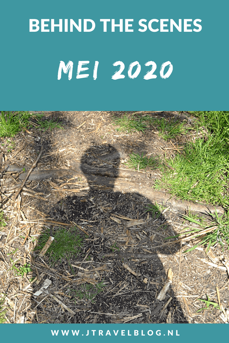In mei 2020 fietste ik twee keer naar de Amsterdamse Waterleidingduinen voor een paar mooie wandelingen en maakte twee kabouterwandelingen rond Landgoed Keukenhof. Meer hier over lees je in dit maandoverzicht. #maandoverzicht #amsterdamsewaterleidingduinen #mei2020 #bollenstreek #kabouterwandeling #corona #coronacrisis #coronavirus #jtravel #jtravelblog