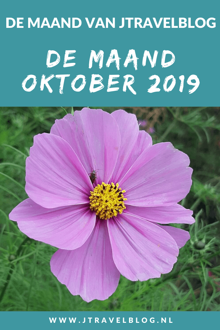 De maand oktober 2019 van JTravelBlog met een dagje Amsterdam waar ik 3 musea bezocht: de Hermitage, het Joods Historisch Museum en de Portugese Synagoge. Ook maakte ik een wandeling in de Amsterdamse Waterleidingduinen. Meer hier over lees je in dit maandoverzicht. #maandoverzicht #amsterdamsewaterleidingduinen #wandelen #hiken #damhert #amsterdam #museum #museumkaart #hermitage #joodshistorischmuseum #portugesesynagoge #jtravel #jtravelblog