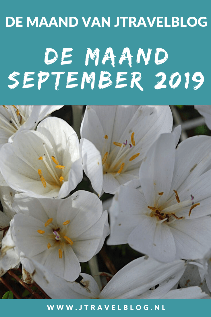 De maand september 2019 van JTravelBlog met een stadswandel in Weesp en appels en peren plukken op Landgoed De Olmenhorst in Lisserbroek. Meer hier over lees je in dit maandoverzicht. #maandoverzicht #olmenhorst #landgoeddeolmenhorst #stadswandeling #weesp #wandelen #jtravel #jtravelblog
