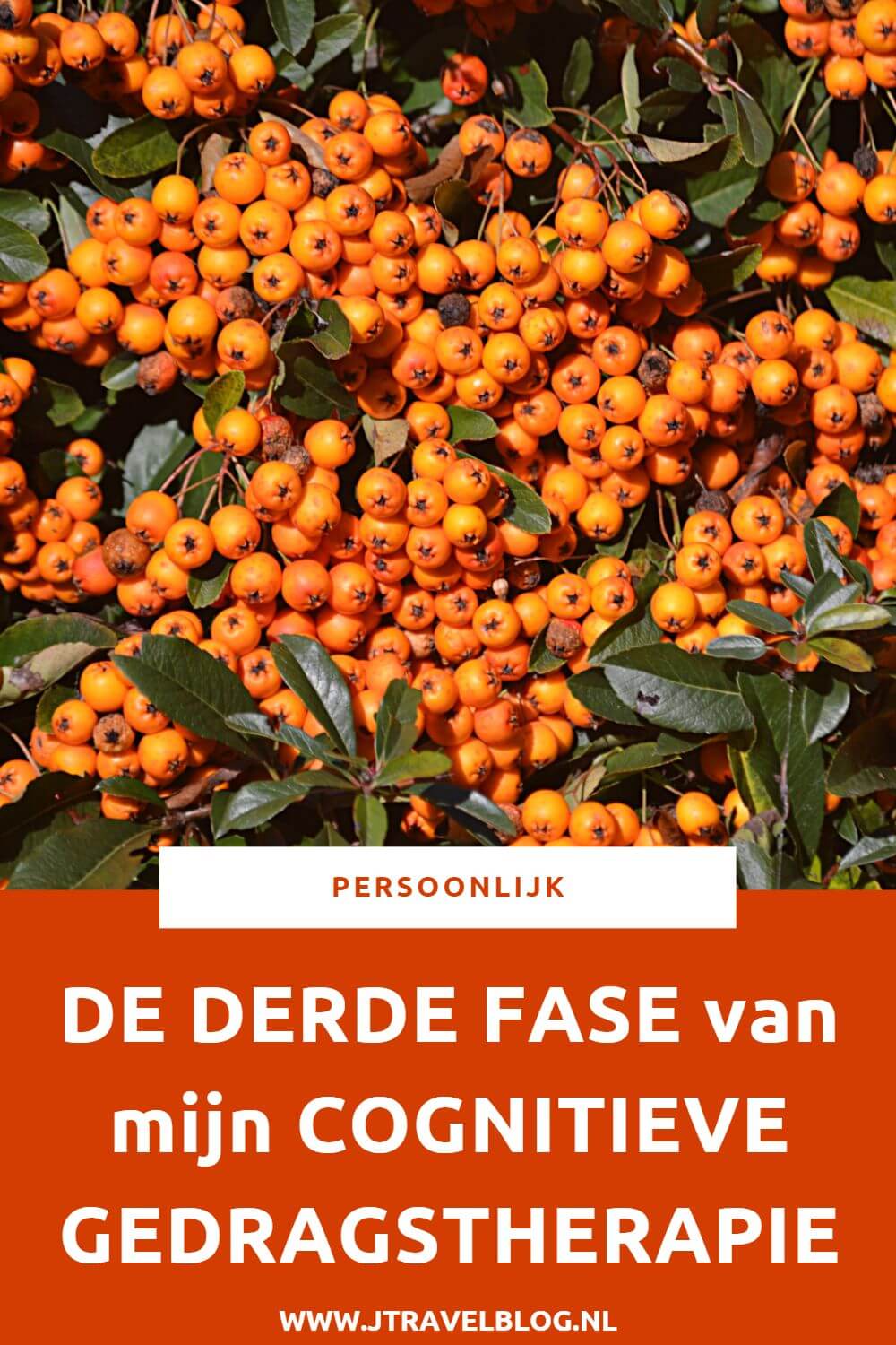 Al jaren lijd ik aan Chronische vermoeidheid/CVS/ME. Ik volg de cognitieve gedragstherapie. Meer over de derde fase in deze therapie lees je hier. Lees je mee? #me #cvs #chronischevermoeidheid #chronischvermoeidheidssyndroom #cognitievegedragstherapie #doelenrealiseren #jtravel #jtravelblog