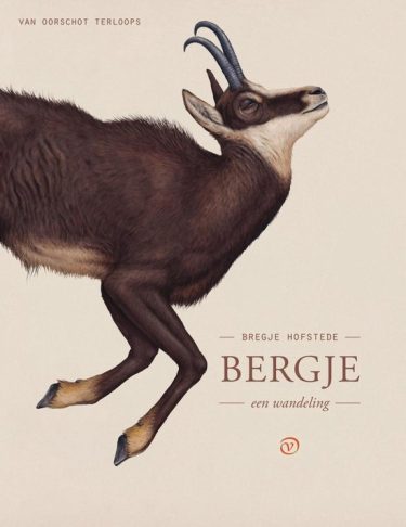 Bergje - Bregje Hofstede uit de Terloops reeks van Uitgeverij van Oorschot