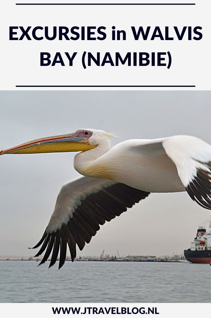 Tijdens mijn rondreis door Namibië maakte ik vanuit Swakopmund twee excursies in Walvis Bay: een bootcruise in de ochtend en 's middags een Living Desert Tour. Wat een geweldige excursies. Meer lezen? Kijk dan op mijn website. #walvisbay #namibie #namibia #bootcruise #livingdeserttour #jtravel #jtravelblog