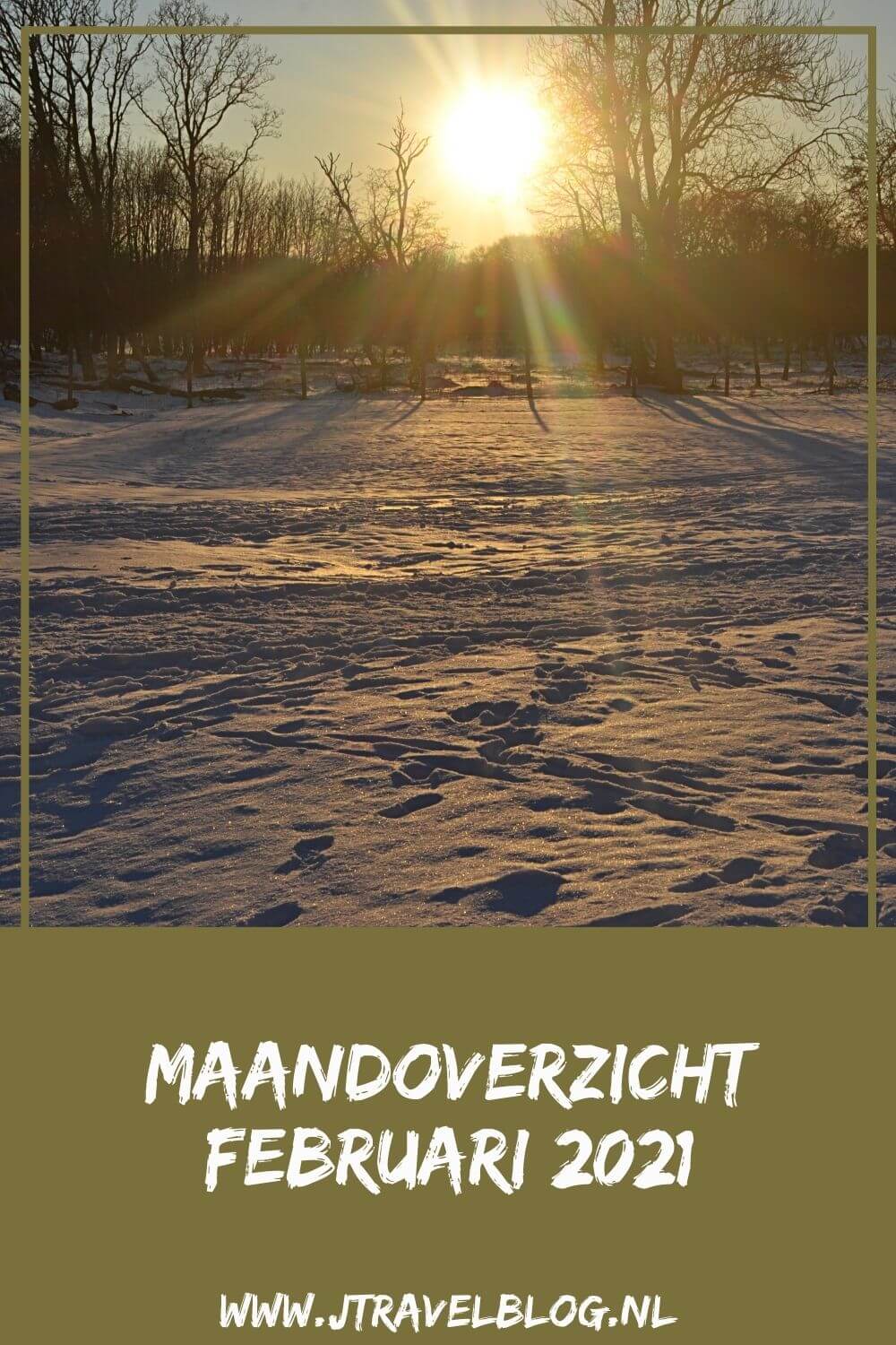 In februari 2021 maakte ik een korte wandeling in de sneeuw rondom mijn huis, twee wandelingen in de Amsterdamse Waterleidingduinen en een fietstocht langs houtsnijwerk in het Haarlemmermeerse Bos. Meer hier over lees je in dit maandoverzicht. #maandoverzicht #februari 2021 #sneeuwwandeling #amsterdamsewaterleidingduinen #haarlemmermeersebos #jtravel #jtravelblog