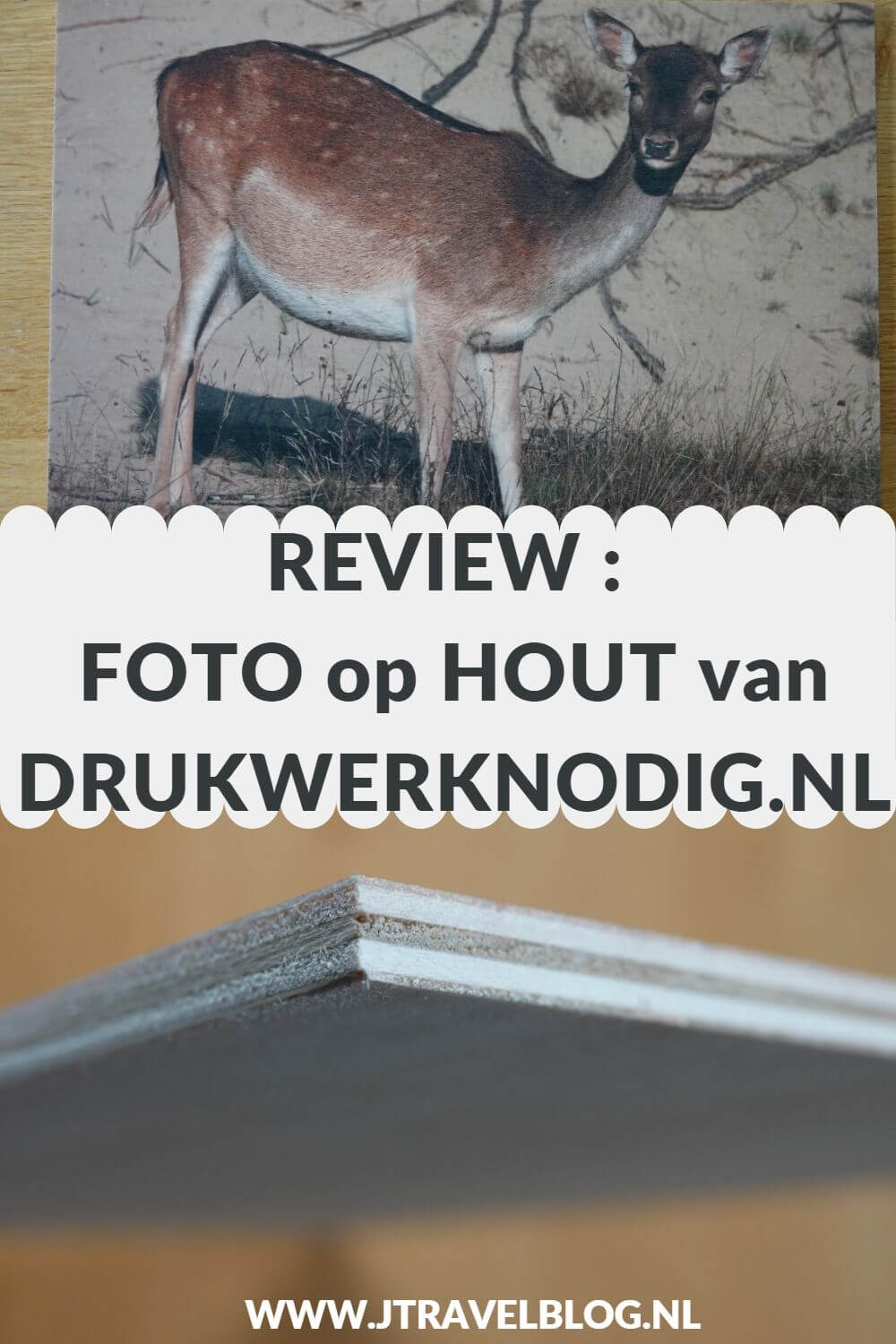 Van Drukwerknodig.nl mocht ik een foto op hout uitkiezen. Ik koos voor een foto die ik maakte tijdens รฉรฉn van mijn vele wandelingen in de Amsterdamse Waterleidingduinen. Mijn review over Drukwerknodig.nl lees je op mijn website. Lees je mee en doe inspiratie op. #review #fotophout #drukwerknodig #damhert #amsterdamsewaterleidingduinen #jtravelblog #jtravel