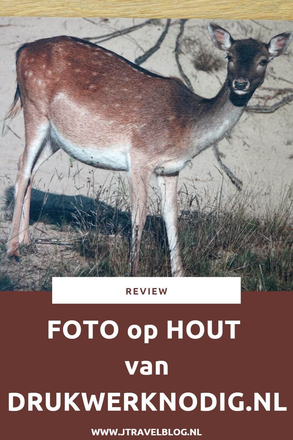Van Drukwerknodig.nl mocht ik een foto op hout uitkiezen. Ik koos voor een foto die ik maakte tijdens รฉรฉn van mijn vele wandelingen in de Amsterdamse Waterleidingduinen. Mijn review over Drukwerknodig.nl lees je op mijn website. Lees je mee en doe inspiratie op. #review #fotophout #drukwerknodig #damhert #amsterdamsewaterleidingduinen #jtravelblog #jtravel
