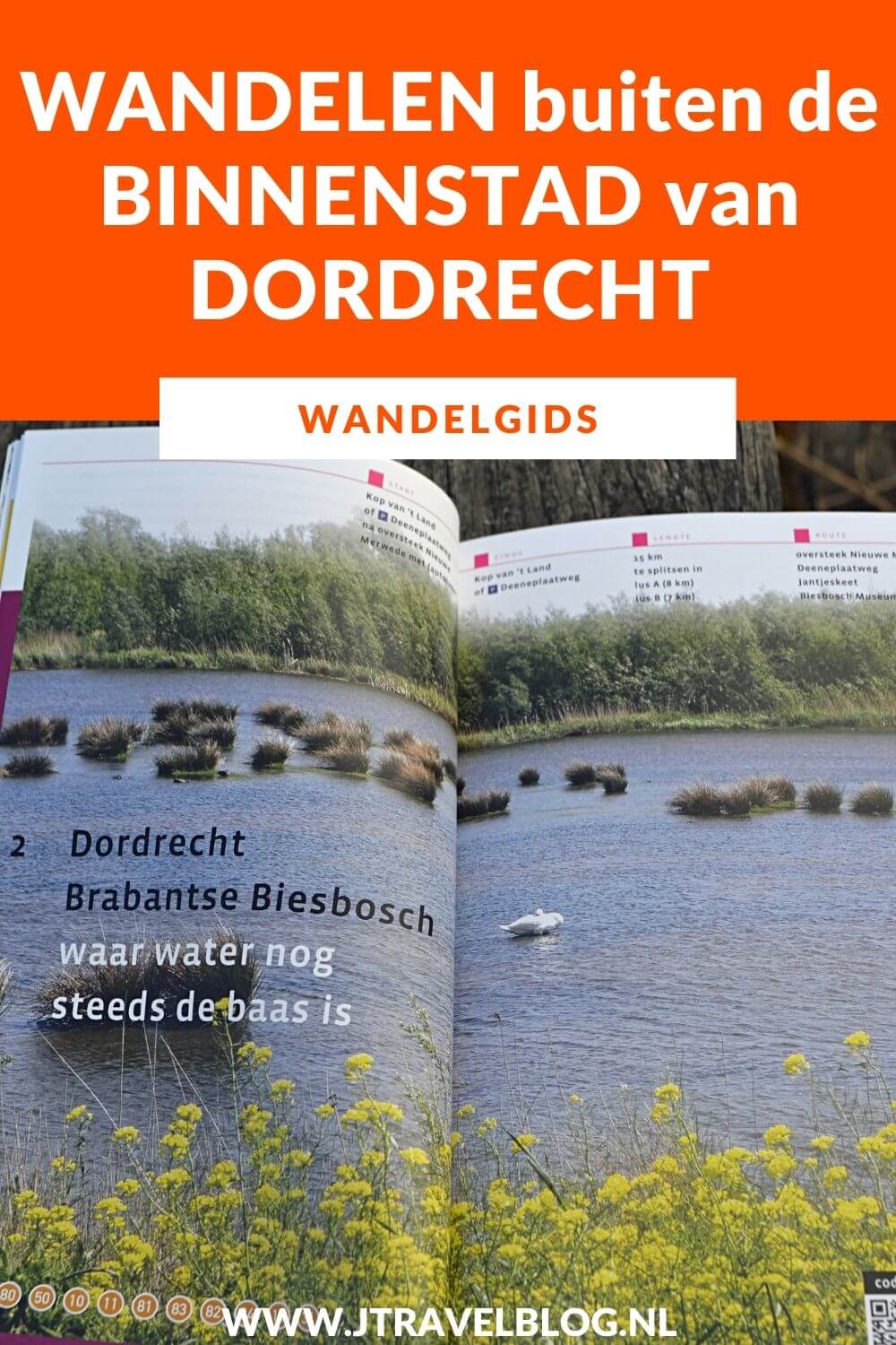 De wandelgids 'Wandelen buiten de binnenstad van Dordrecht' bevat 14 rondwandelingen van 6 tot 18 kilometer rond de binnenstad en het landelijk gebied daarbuiten. Wandel je mee? #wandelgids #wandelen #hiken #gegarandeerdonregelmatig #dordrecht #jtravel #jtravelblog