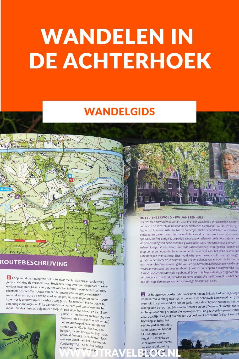 De wandelgids 'Wandelen in de Achterhoek' bevat 20 rondwandelingen van 8 tot 13 kilometer in de Gelderse Achterhoek langs beken en kastelen en over landgoederen en langs watermolens. Wandel je mee? #wandelen #achterhoek #wandelgids #gegarandeerdonregelmatig #jtravel #jtravelblog