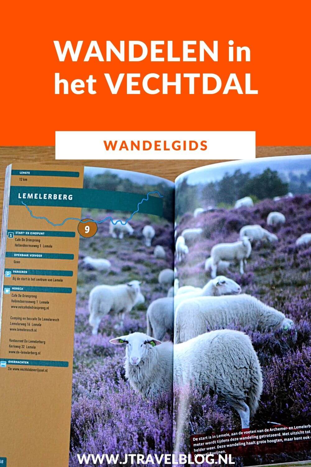 De wandelgids 'Wandelen in het Vechtdal' is een gids met twaalf wandelingen in het Vechtdal. Alle wandelingen liggen rondom plaatsen als Hardenberg, Gramsbergen, Ommen en Dalfsen. Wandel je mee? #vechtdal #wandelen #hiken #wandelgids #gegarandeerdonregelmatig #jtravel #jtravelblog