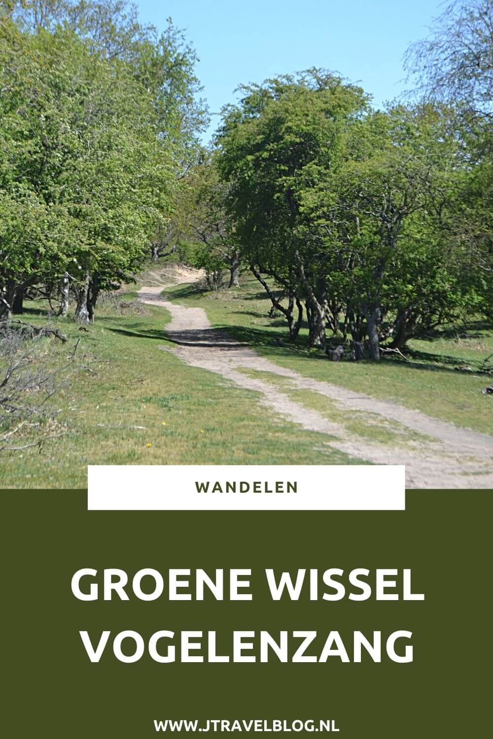 Ik maakte de wandeling Groene Wissel Vogelenzang : Waterleidingduinen en Landgoederen. Een wandeling door de Amsterdamse Waterleidingduinen en over Buitenplaats Leyduin Wandel je mee? #groenewissel #amsterdamsewaterleidingduinen #awd #buitenplaatsen #wandelen #leyduin #vogelenzang #jtravelblog #jtravel