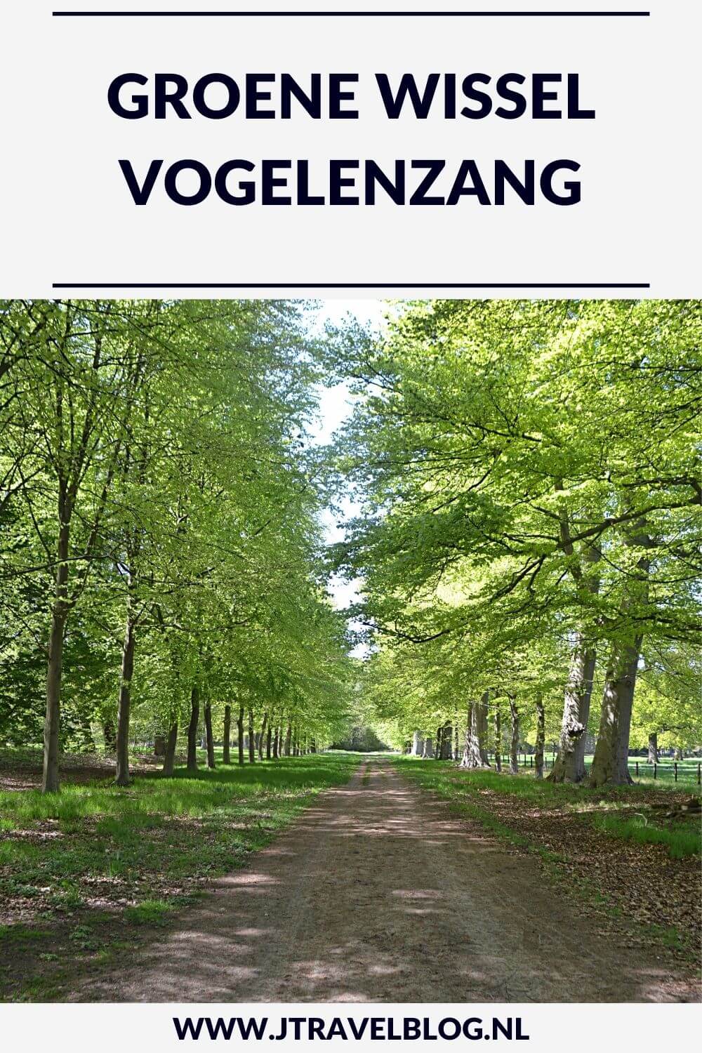 Ik maakte de wandeling Groene Wissel Vogelenzang : Waterleidingduinen en Landgoederen. Een wandeling door de Amsterdamse Waterleidingduinen en over Buitenplaats Leyduin Wandel je mee? #groenewissel #amsterdamsewaterleidingduinen #awd #buitenplaatsen #wandelen #leyduin #vogelenzang #jtravelblog #jtravel